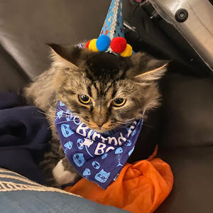 Meet your Posher, Robert